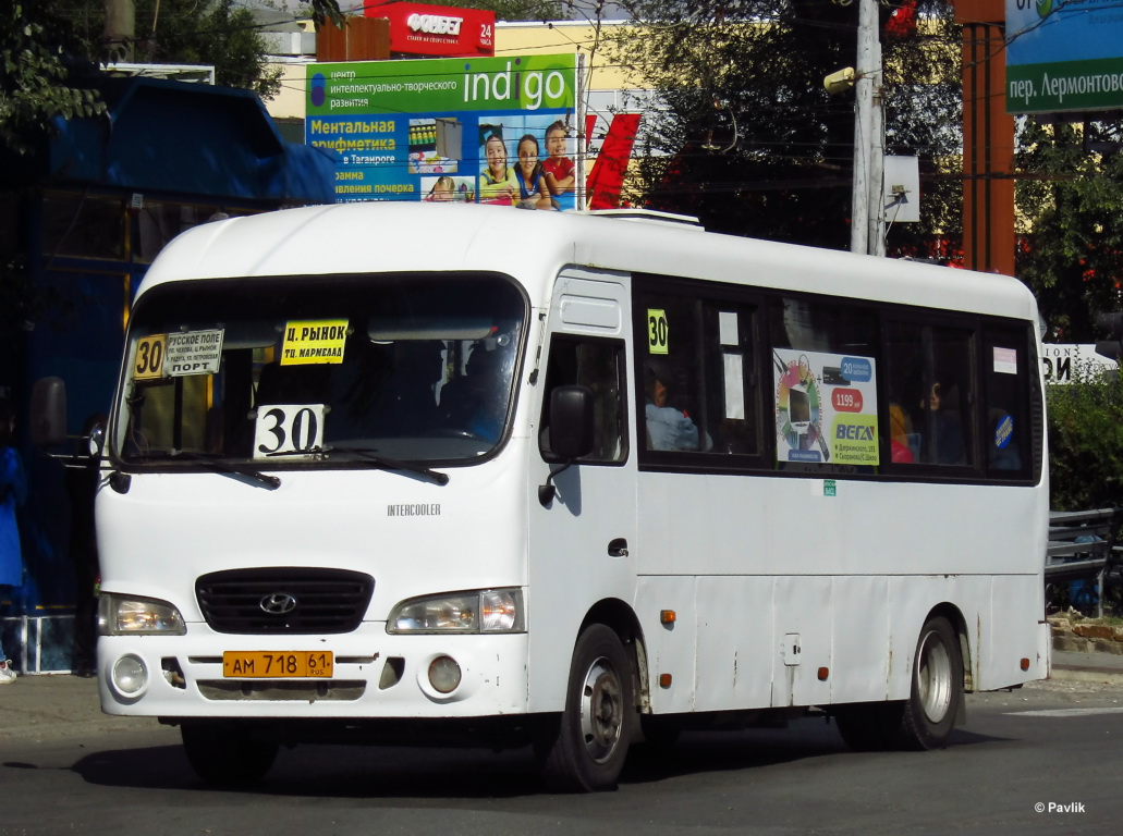 Ростовская область, Hyundai County LWB C11 (ТагАЗ) № АМ 718 61