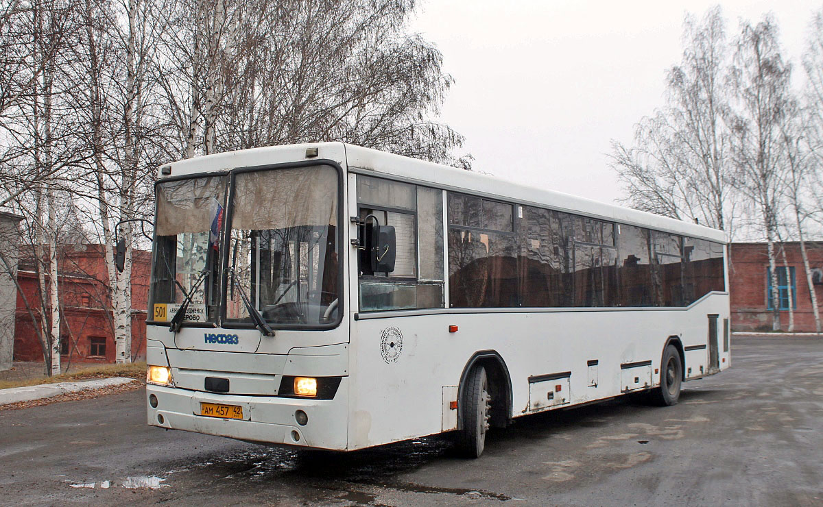 Kemerovo region - Kuzbass, NefAZ-5299-10-16 Nr. 28