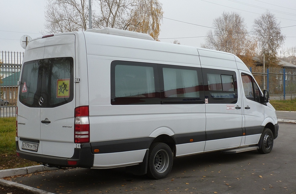 Свердловская область, Луидор-223602 (MB Sprinter) № Е 779 ТР 196