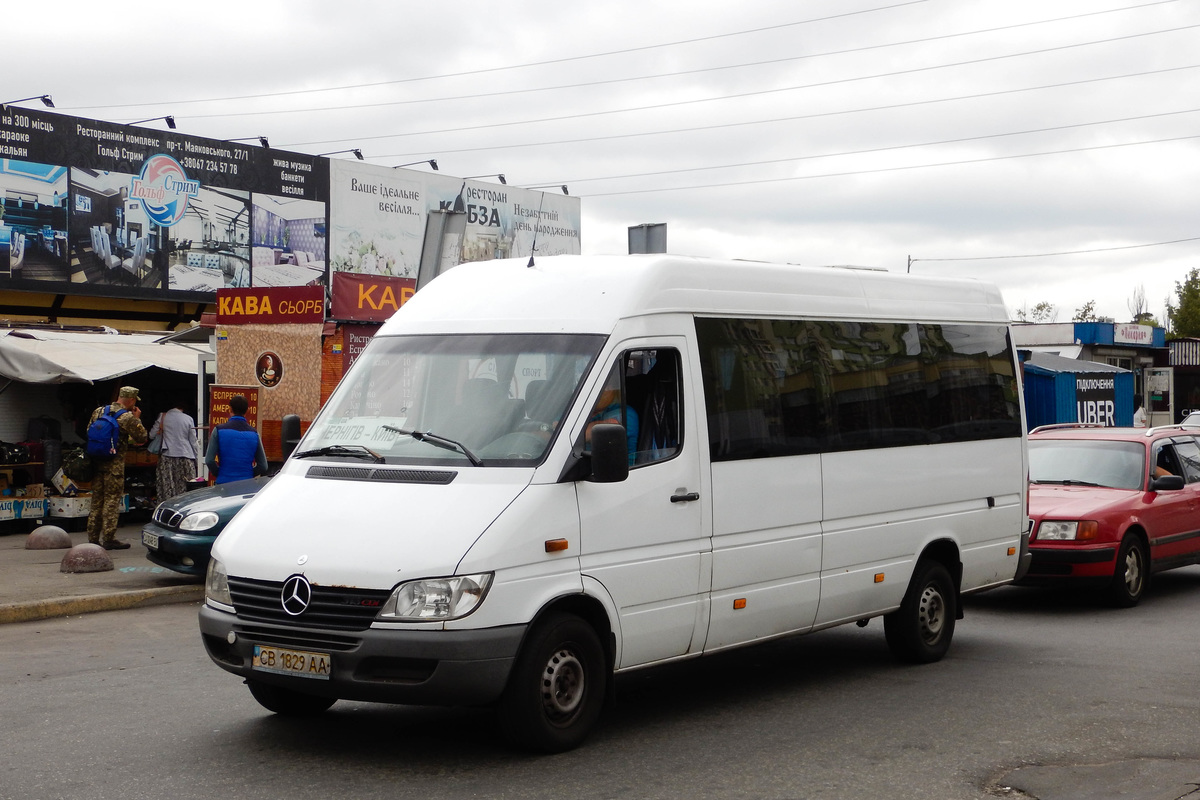 Черниговская область, Mercedes-Benz Sprinter W903 313CDI № CB 1829 AA