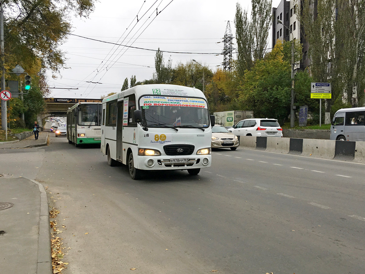 Ростовская область, Hyundai County SWB C08 (ТагАЗ) № 210