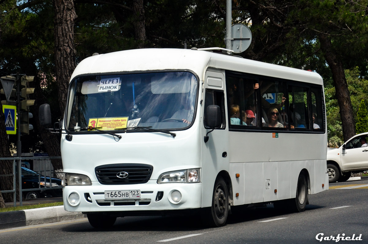 Краснодарский край, Hyundai County LWB C11 (ТагАЗ) № Т 665 НВ 123