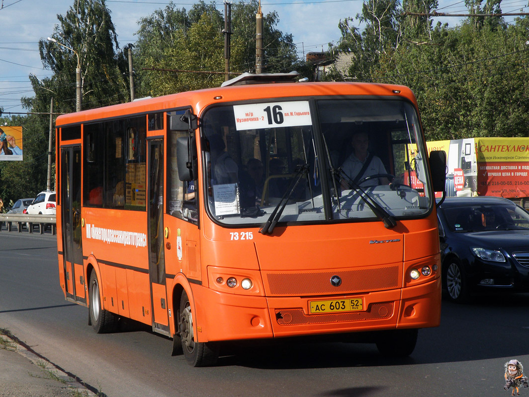 Нижегородская область, ПАЗ-320414-05 "Вектор" (1-2) № 73215