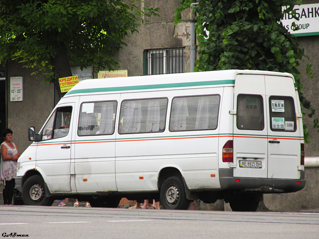 Днепропетровская область, Mercedes-Benz Sprinter W903 312D № AE 8825 BH