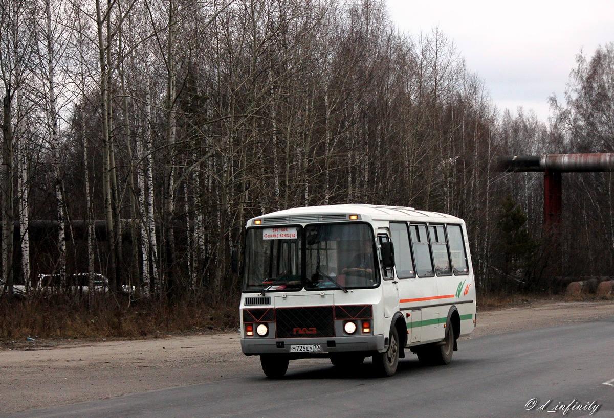Томская область, ПАЗ-3205-110 № М 725 ЕУ 70