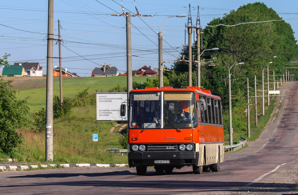 Ровненская область, Ikarus 250.59 № BK 6675 BI