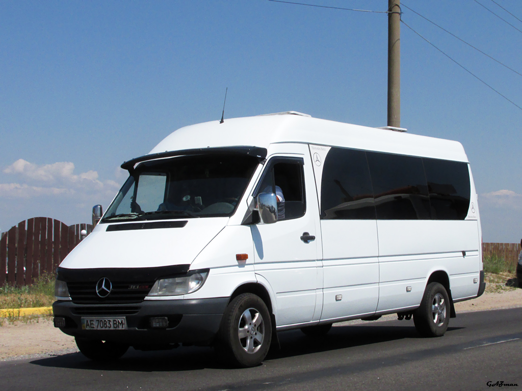 Днепропетровская область, Mercedes-Benz Sprinter W903 313CDI № AE 7083 BM