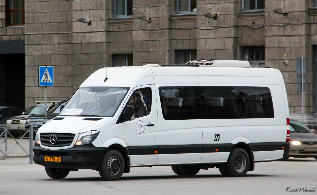 Кемеровская область - Кузбасс, Луидор-223690 (MB Sprinter) № 223