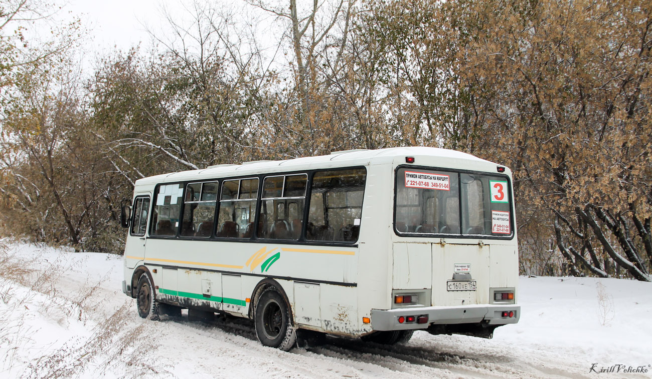 Новосибирская область, ПАЗ-4234 № С 160 ХЕ 154