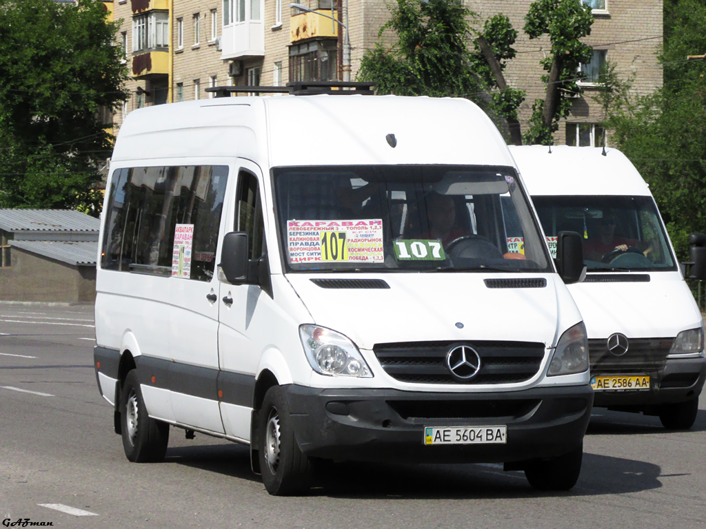 Днепропетровская область, Mercedes-Benz Sprinter W906 313CDI № AE 5604 BA