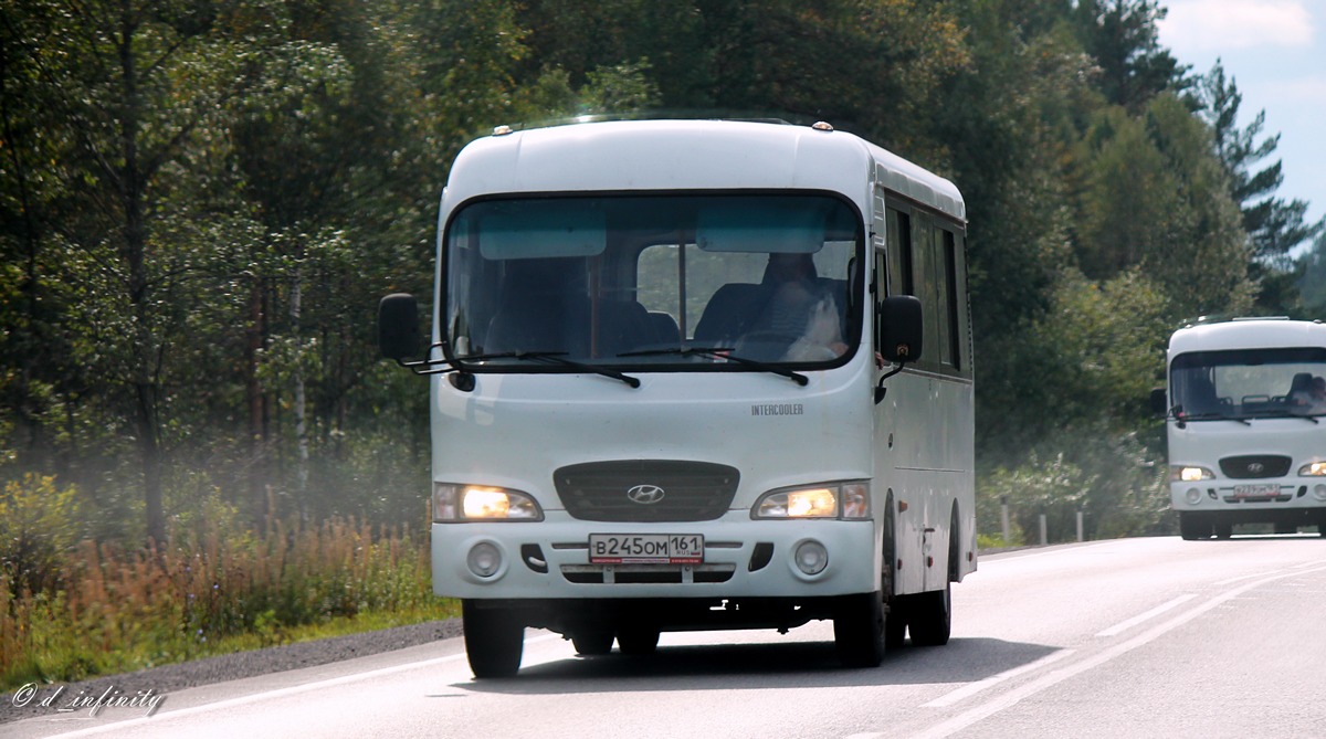 Ростовская область, Hyundai County LWB (ТагАЗ) № 026