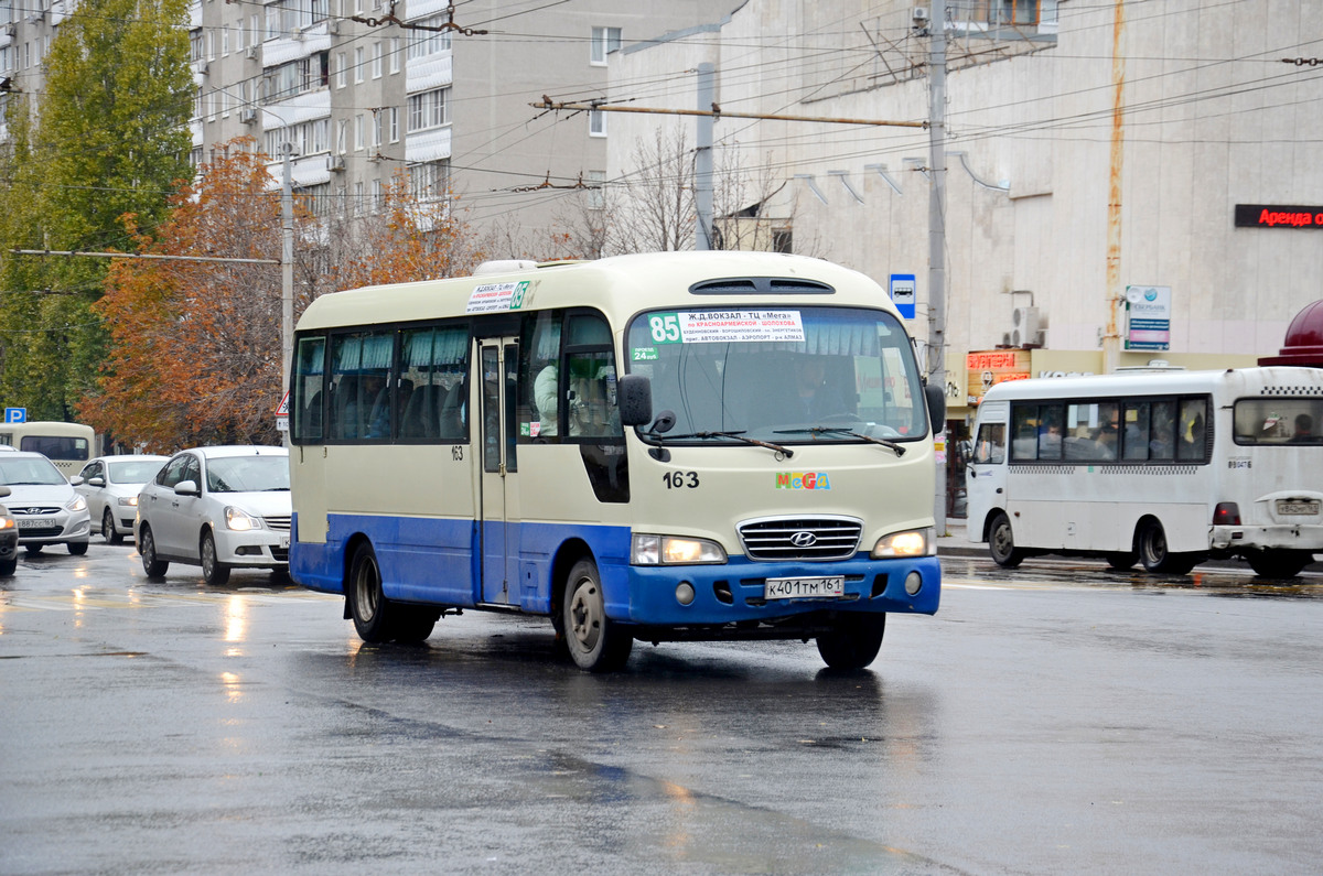 Ростовская область, Hyundai County Deluxe № 163