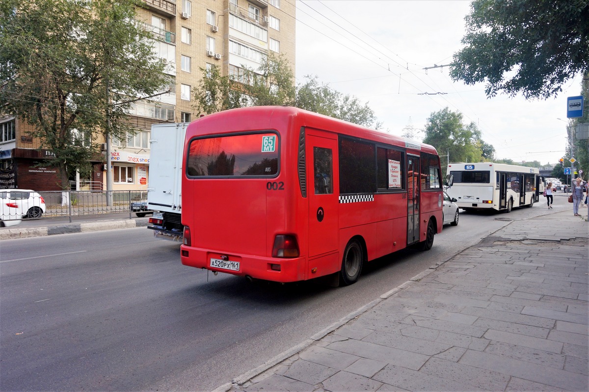 Ростовская область, Hyundai County LWB C09 (ТагАЗ) № 002