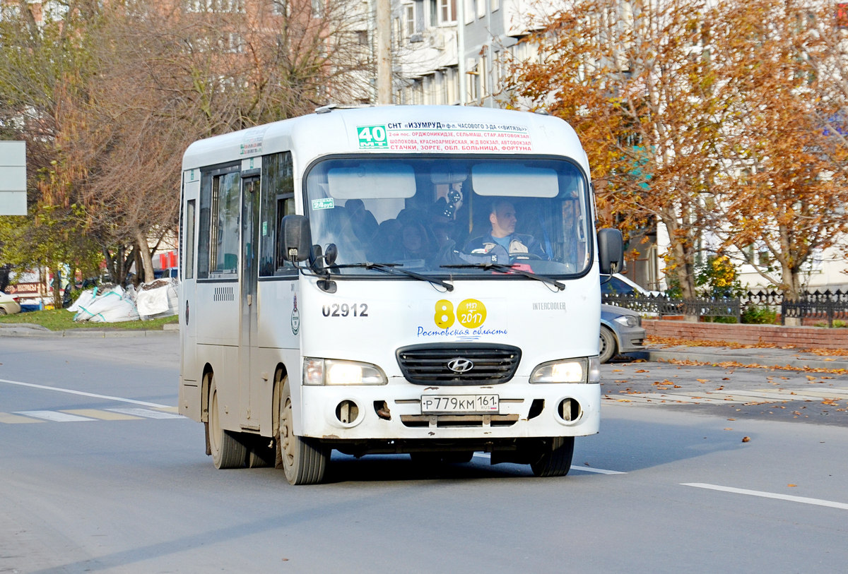 Ростовская область, Hyundai County SWB C08 (ТагАЗ) № 02912