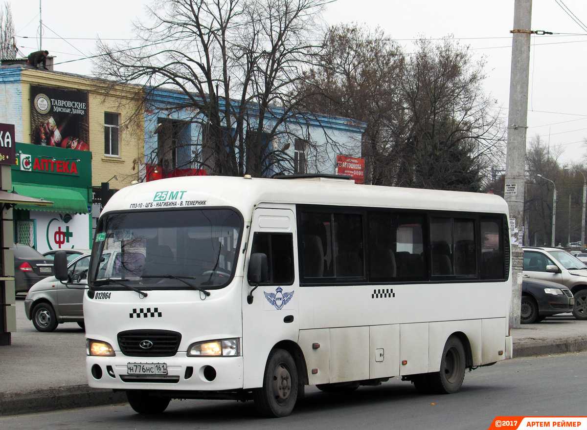 Ростовская область, Hyundai County LWB C11 (ТагАЗ) № 012064