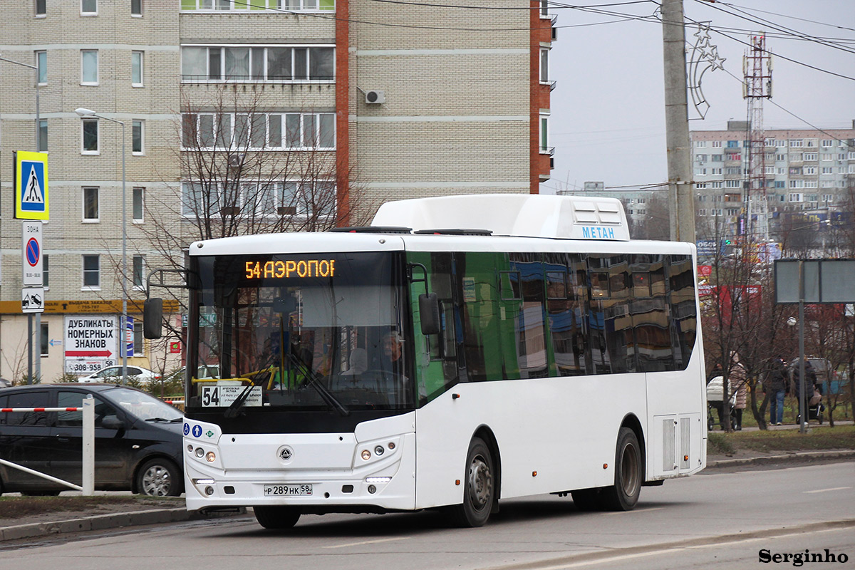 Пензенская область, КАвЗ-4270-70 № Р 289 НК 58