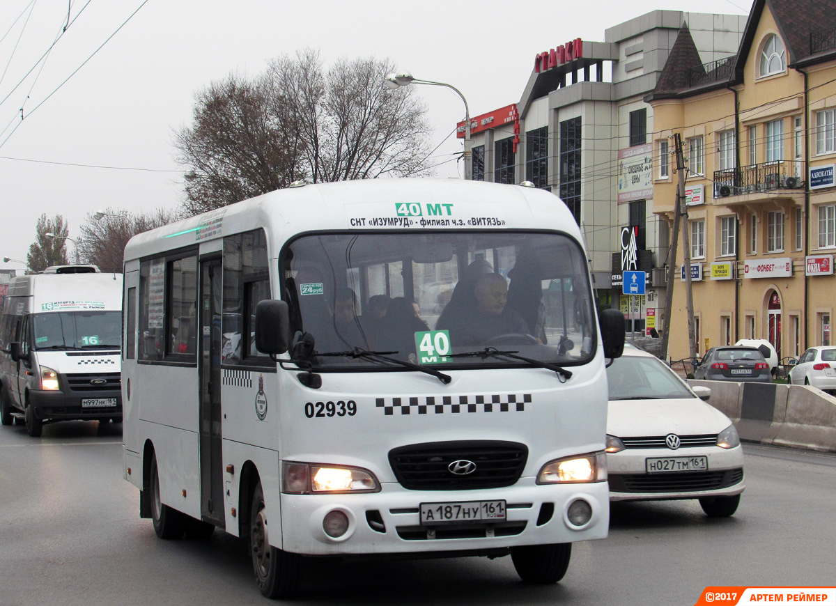 Ростовская область, Hyundai County LWB C09 (ТагАЗ) № 02939