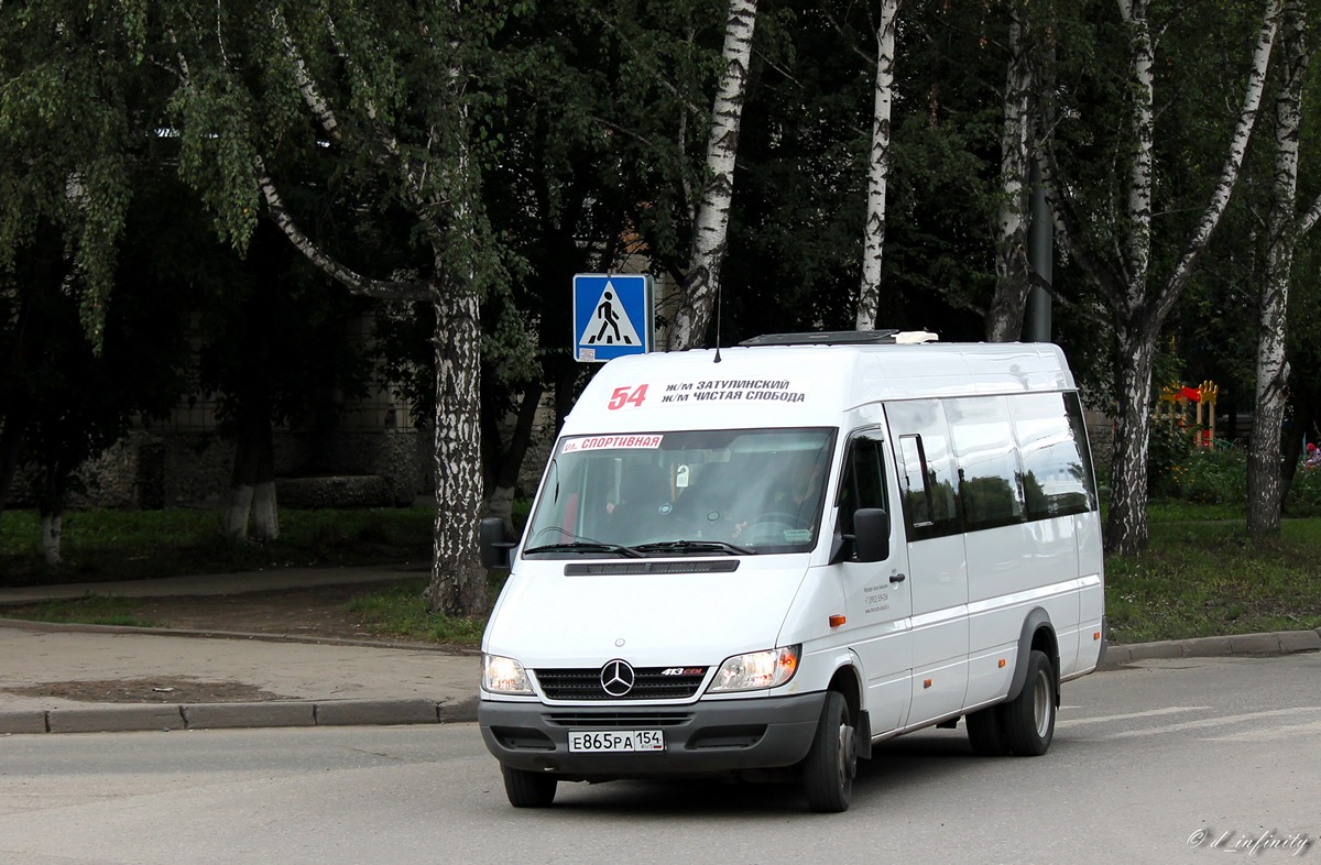 Новосибирская область, Луидор-223203 (MB Sprinter Classic) № Е 865 РА 154