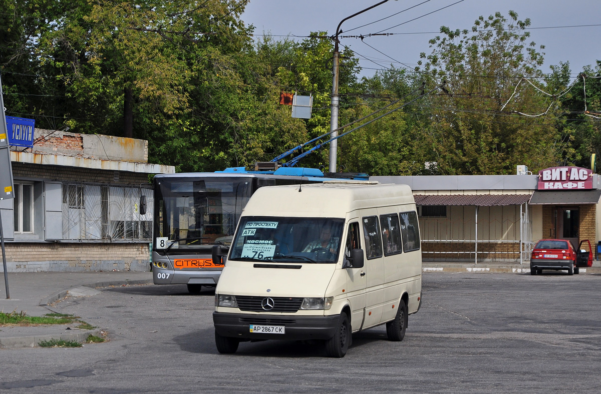 Запорожская область, Mercedes-Benz Sprinter W903 312D № AP 2867 CK