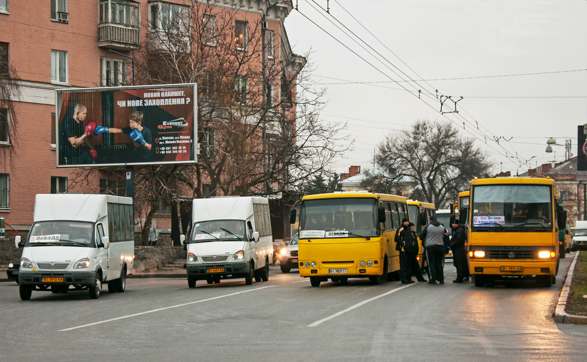 Полтавская область, Рута 22 № BI 3912 AA; Полтавская область, Рута 20 № BI 4407 AA; Полтавская область, Богдан А09201 № BI 9829 CI; Полтавская область, БАЗ-А079.14 "Подснежник" № BI 3854 AA