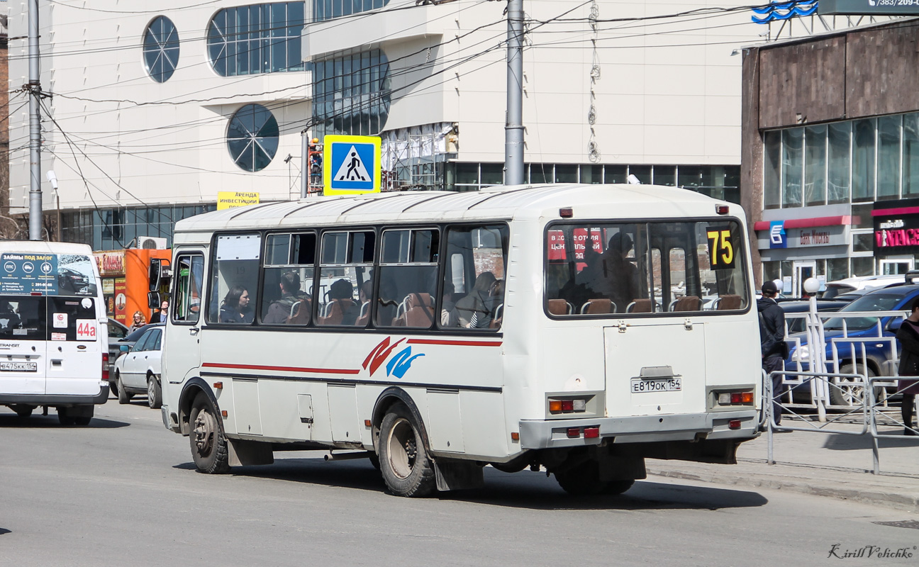 Новосибирская область, ПАЗ-4234 № Е 819 ОК 154