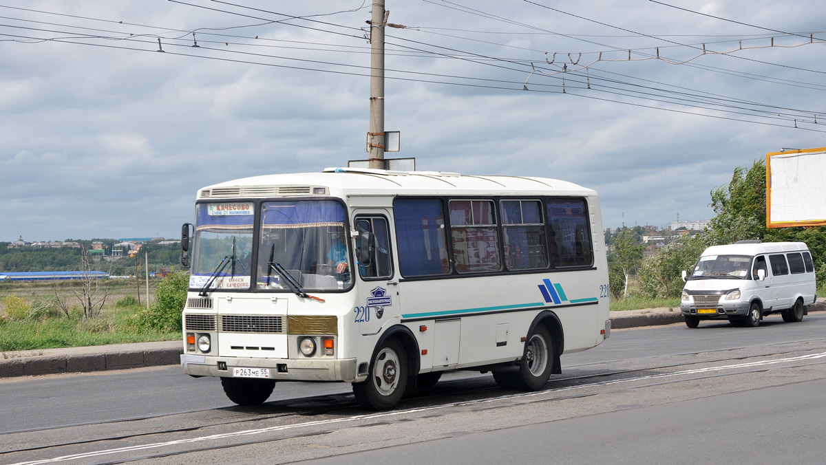 Омская область, ПАЗ-32053 № 220; Омская область, ГАЗ-322132 (XTH, X96) № АУ 156 55