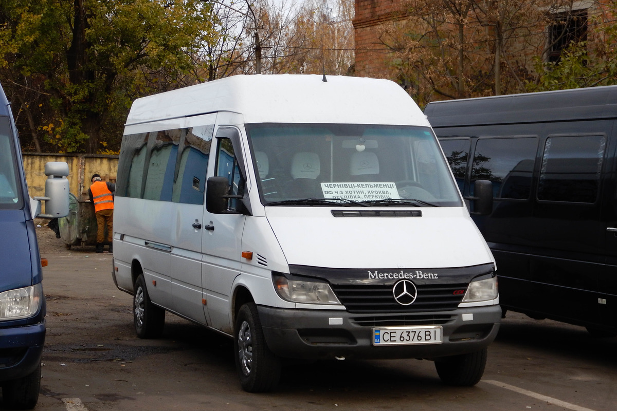 Черновицкая область, Mercedes-Benz Sprinter W903 313CDI № CE 6376 BI