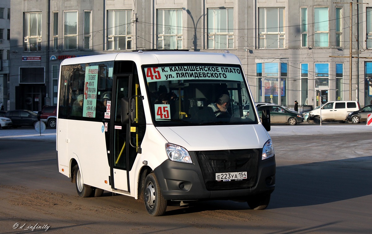 Новосибирская область, ГАЗ-A64R42 Next № Е 223 УА 154