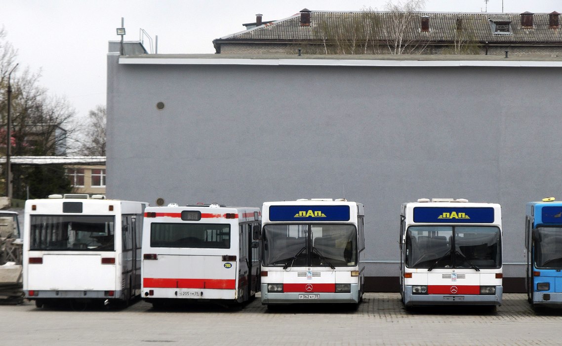 Kaliningrad region, Mercedes-Benz O405 Nr. Р 041 ОМ 39; Kaliningrad region, Mercedes-Benz O405 Nr. Р 362 АТ 39; Kaliningrad region, Neoplan N4014NF Nr. 205; Kaliningrad region — Miscellaneous photos