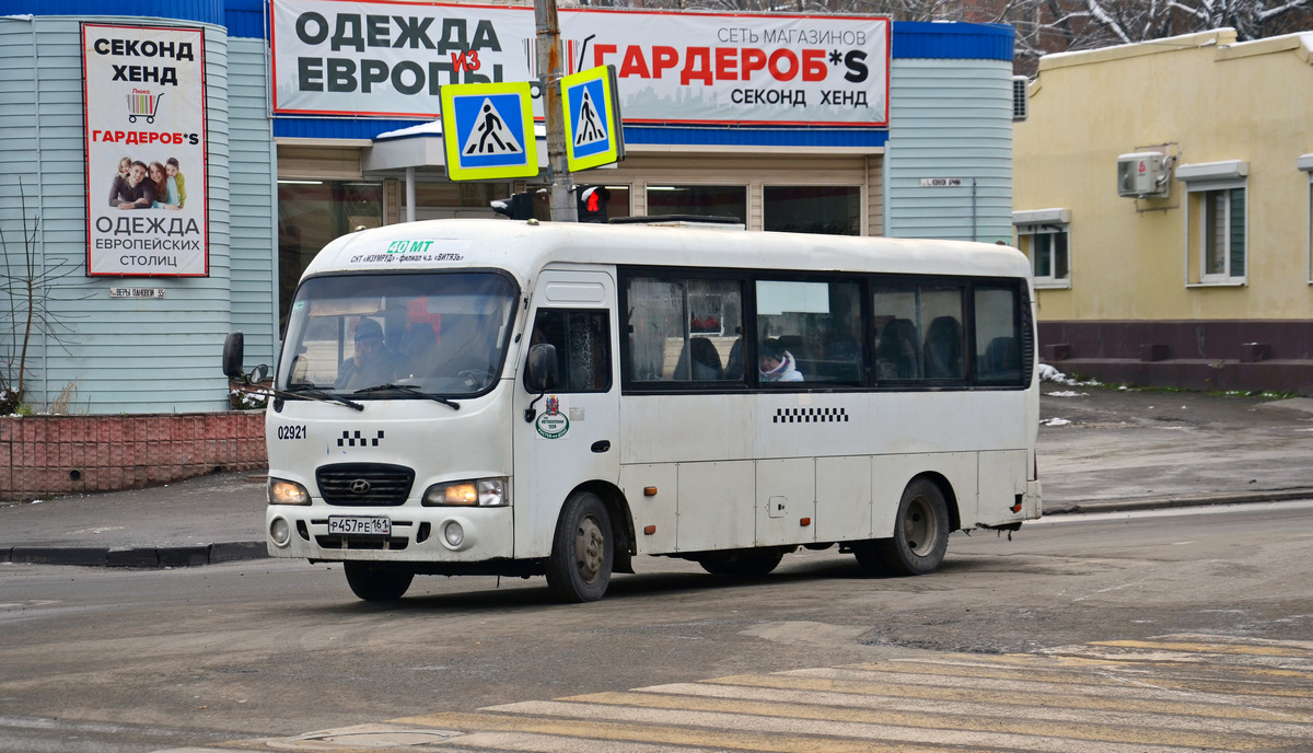 Ростовская область, Hyundai County LWB C11 (ТагАЗ) № 02921