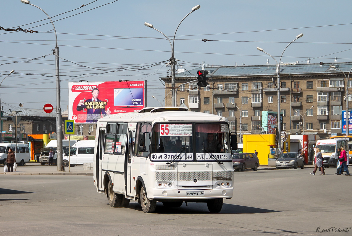 Новосибирская область, ПАЗ-32054 № Е 289 СА 154