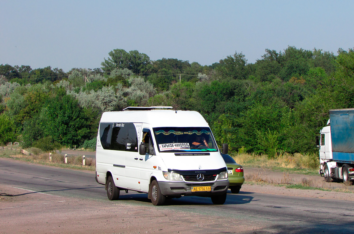 Днепропетровская область, Mercedes-Benz Sprinter W903 313CDI № AE 5756 AA