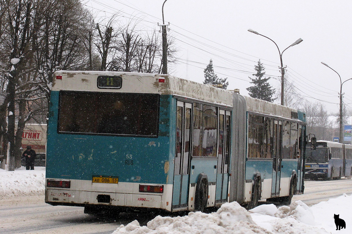 Новгородская область, МАЗ-105.060 № 441