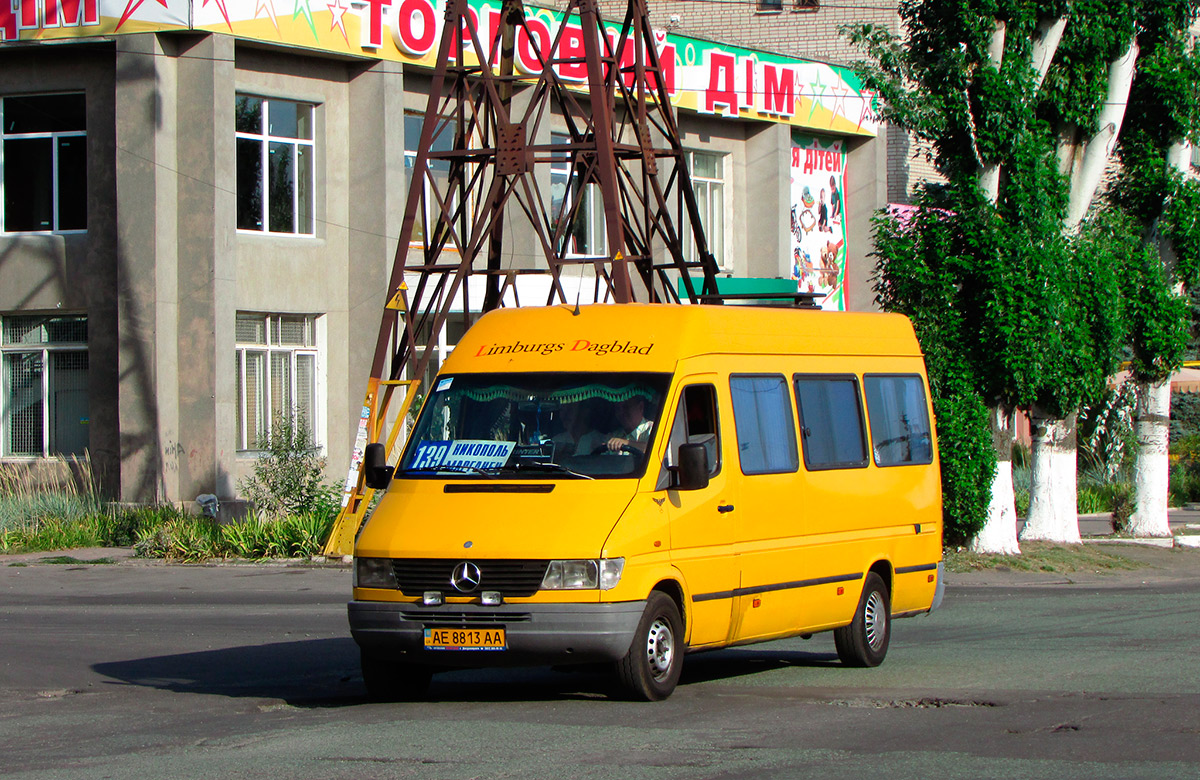 Днепропетровская область, Mercedes-Benz Sprinter W903 310D № AE 8813 AA