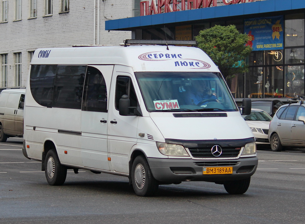 Сумская область, Mercedes-Benz Sprinter W903 313CDI № BM 3189 AA