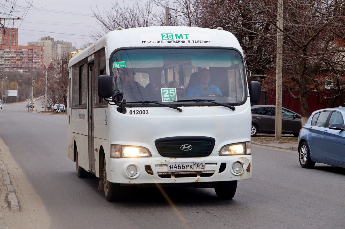 Ростовская область, Hyundai County LWB C09 (ТагАЗ) № 012003