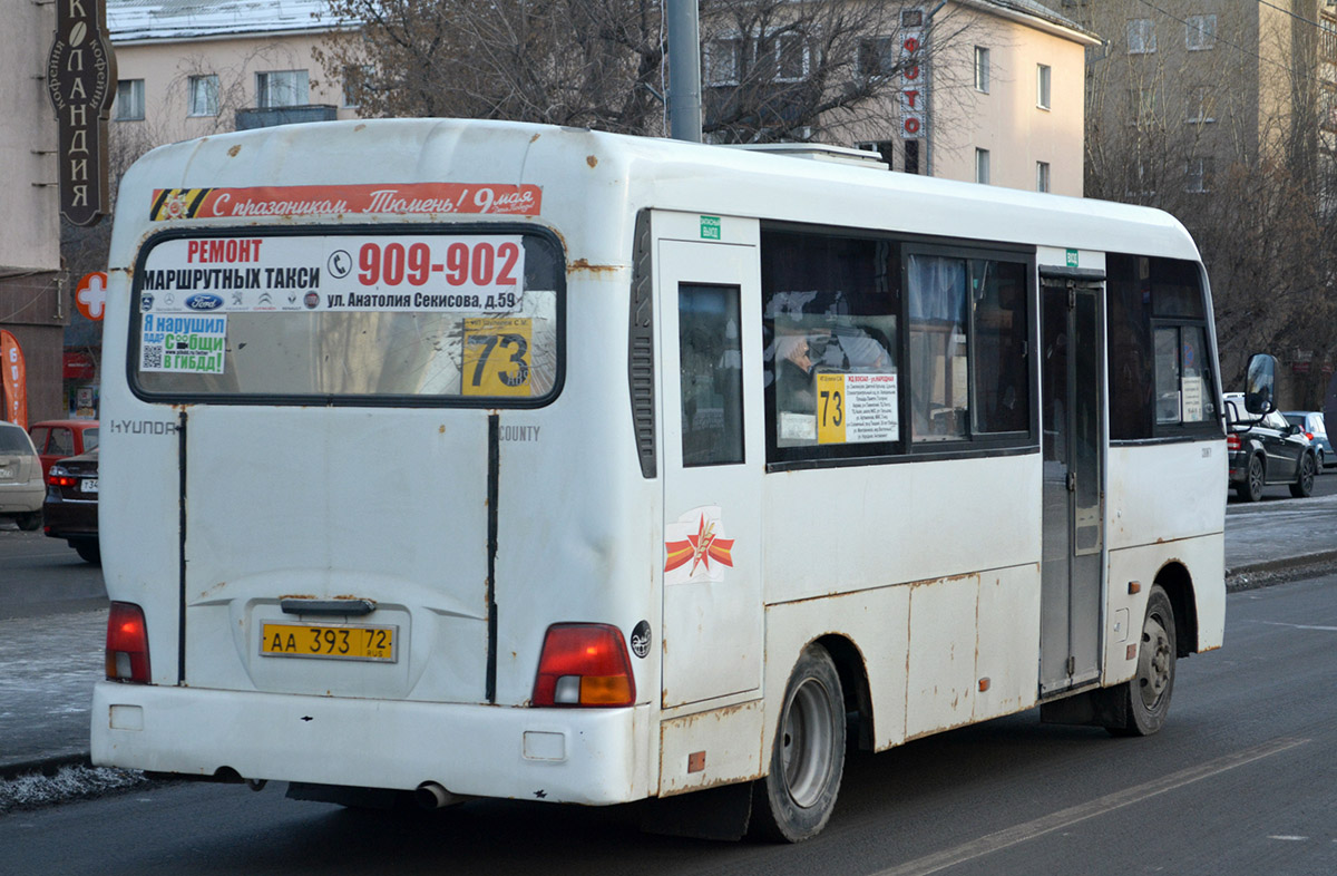 Тюменская область, Hyundai County LWB (ТагАЗ) № АА 393 72