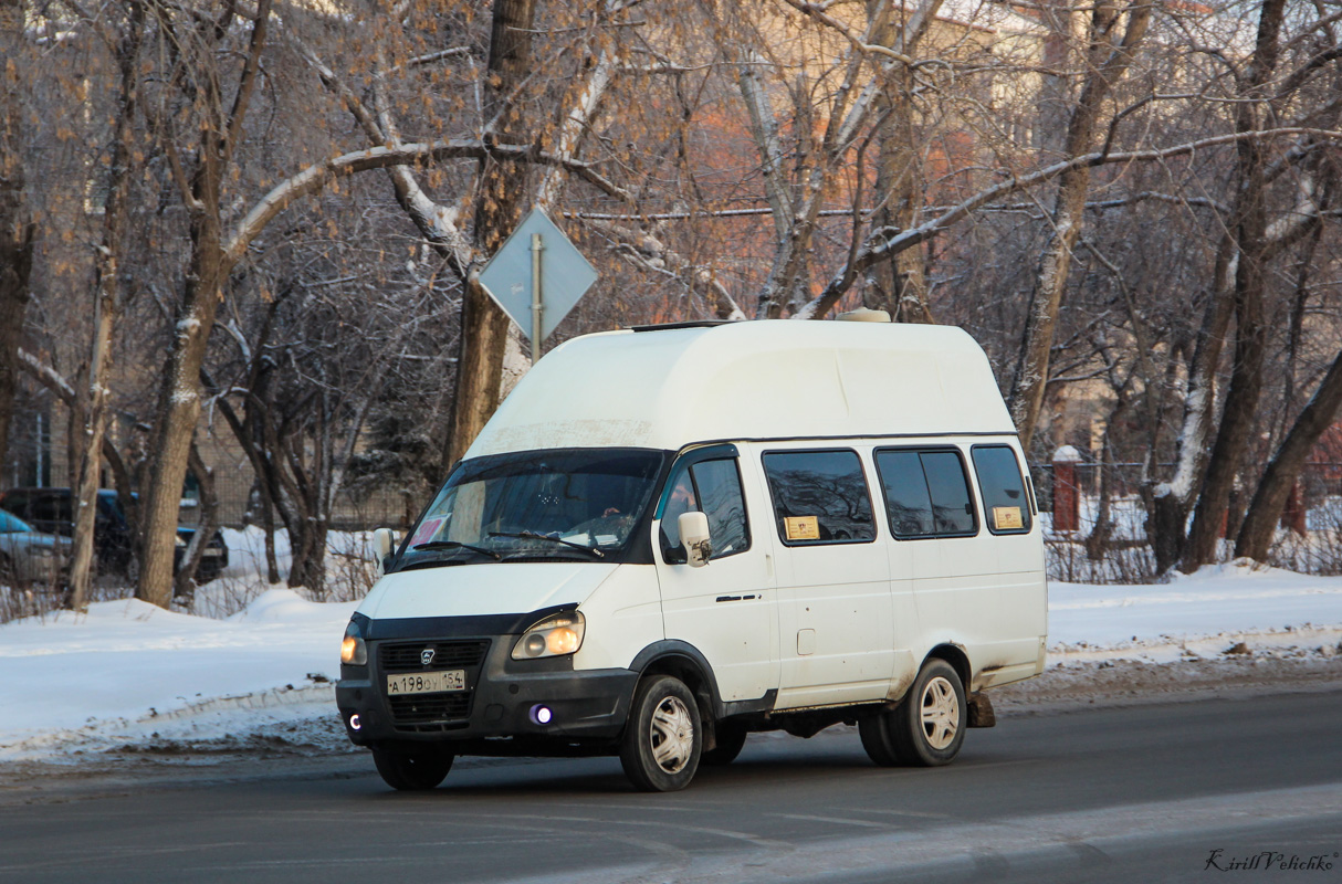 Новосибирская область, Луидор-225000 (ГАЗ-322133) № А 198 ОУ 154