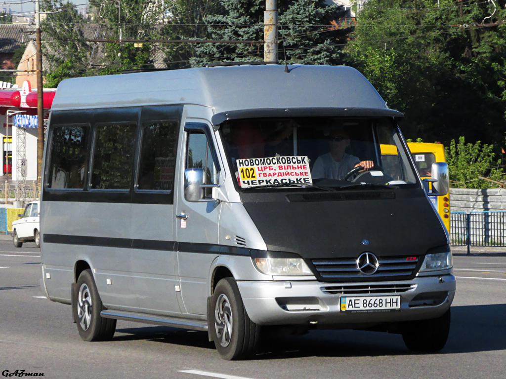 Днепропетровская область, Mercedes-Benz Sprinter W903 313CDI № AE 8668 HH