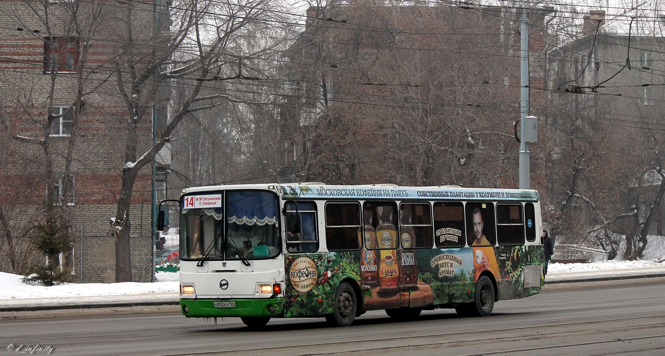 Новосибирская область, ЛиАЗ-5256.45 № Е 852 ЕУ 154