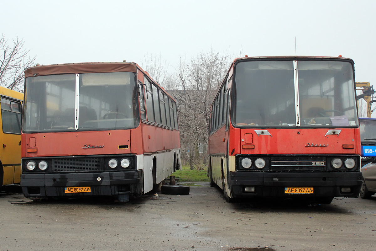 Днепропетровская область, Ikarus 250.95 № AE 8092 AA; Днепропетровская область, Ikarus 250.59 № AE 8097 AA