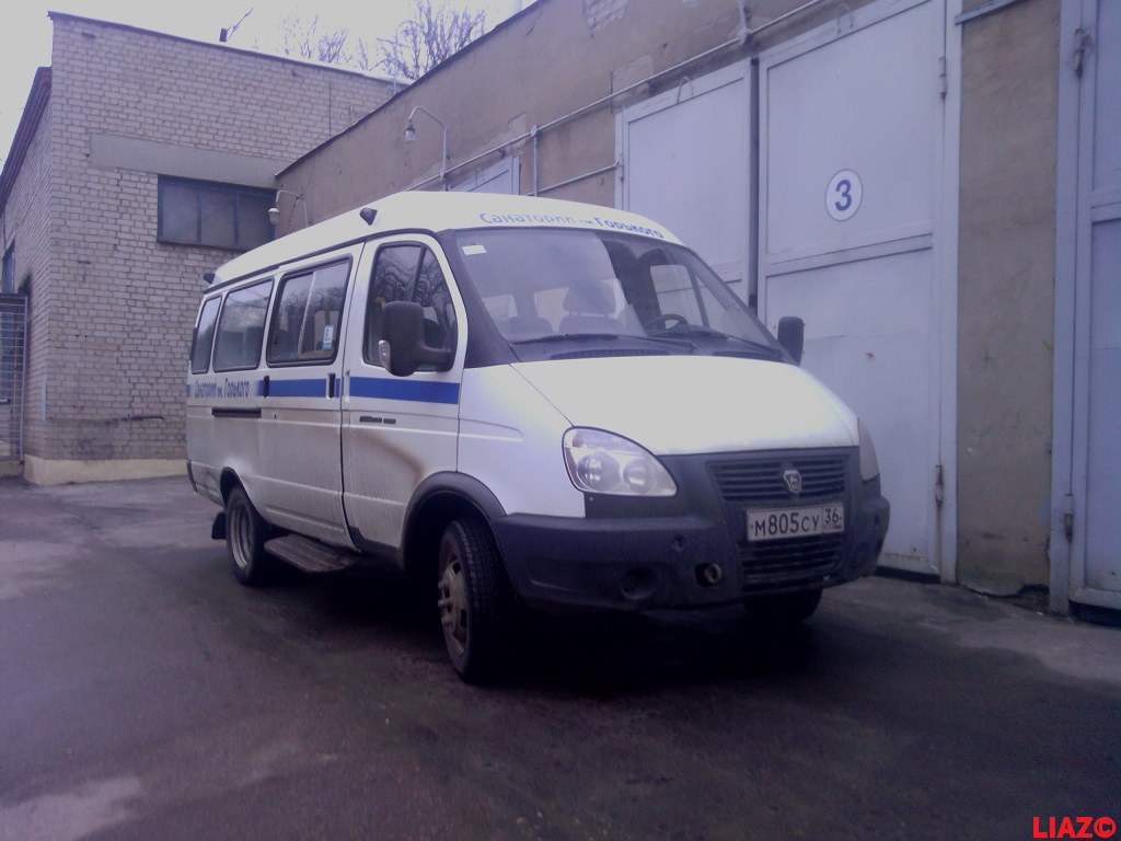 Voronezh region, GAZ-322120 (X96) # М 805 СУ 36