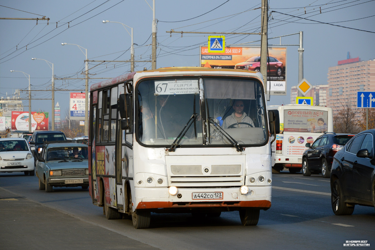 Краснодарский край, ПАЗ-320402-03 № А 442 СО 123