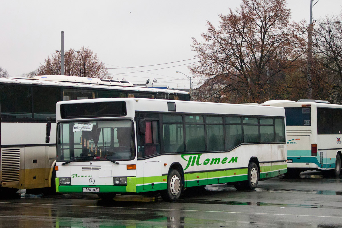 Калининградская область, Mercedes-Benz O405N2 № Р 966 ТО 39