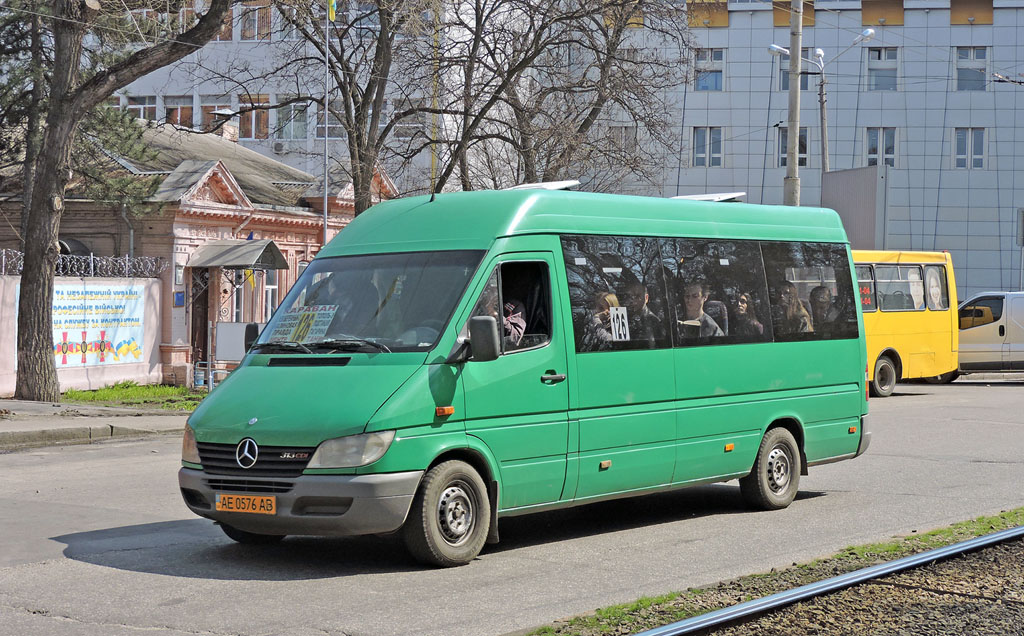 Днепропетровская область, Mercedes-Benz Sprinter W903 313CDI № AE 0576 AB