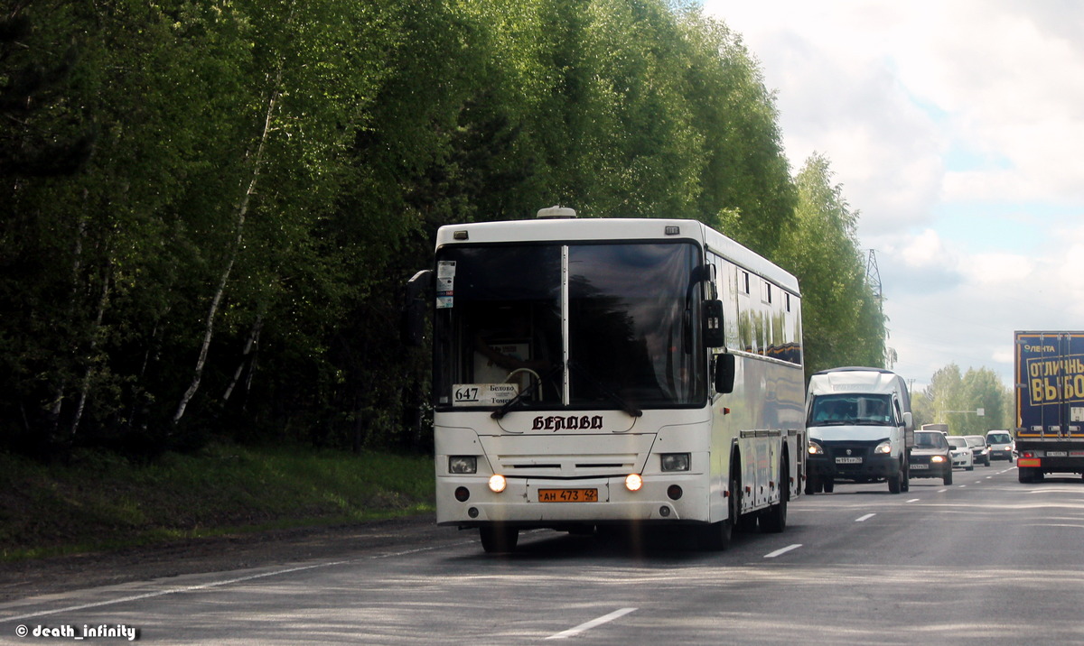 Kemerovo region - Kuzbass, NefAZ-5299-10-17 č. 43