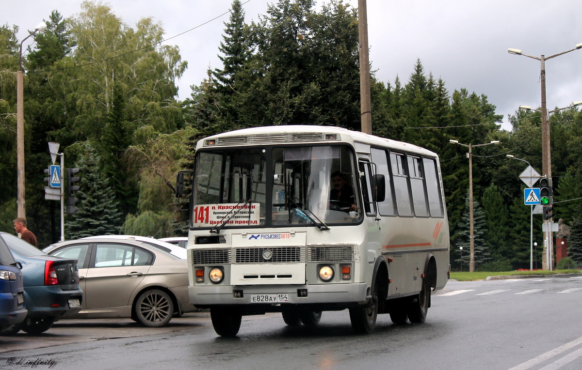 Новосибирская область, ПАЗ-32054 № Е 828 АУ 154