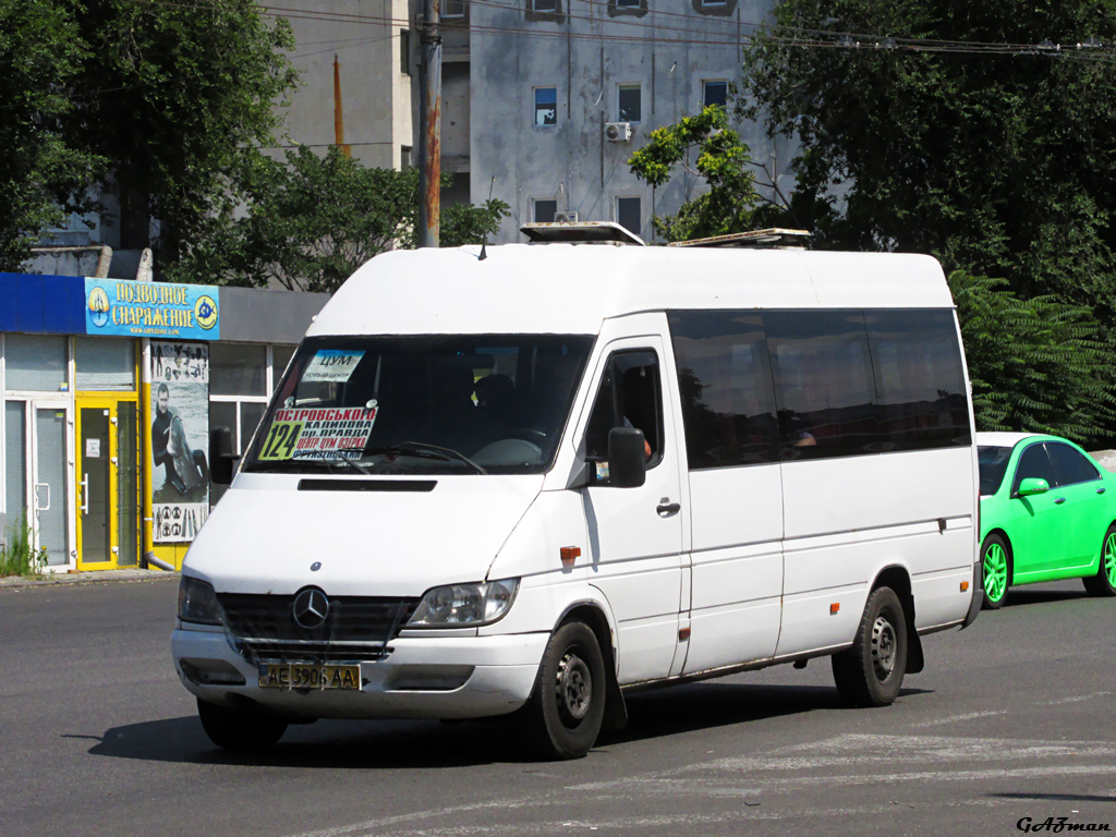 Днепропетровская область, Mercedes-Benz Sprinter W903 313CDI № AE 3906 AA