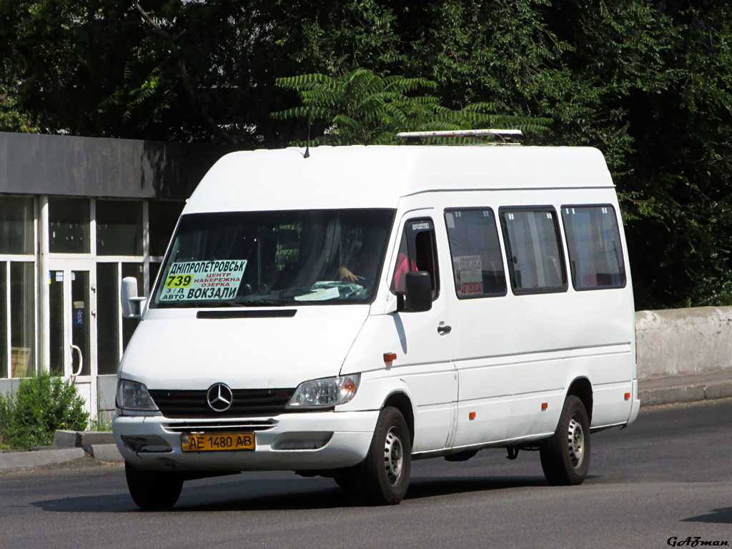 Днепропетровская область, Mercedes-Benz Sprinter W903 308CDI № AE 1480 AB