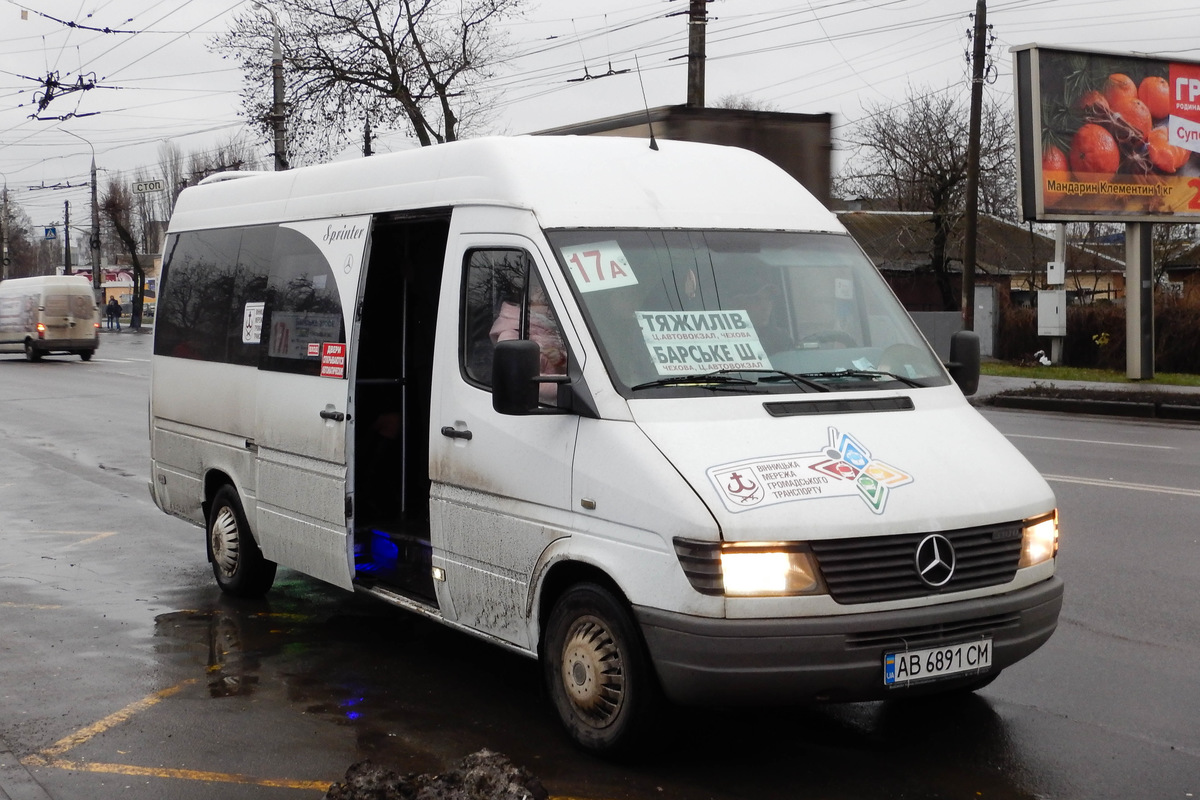 Винницкая область, Mercedes-Benz Sprinter W903 312D № AB 6891 CM